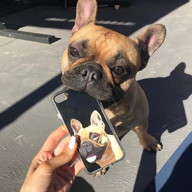 Custom Pet Phone Case (Original)