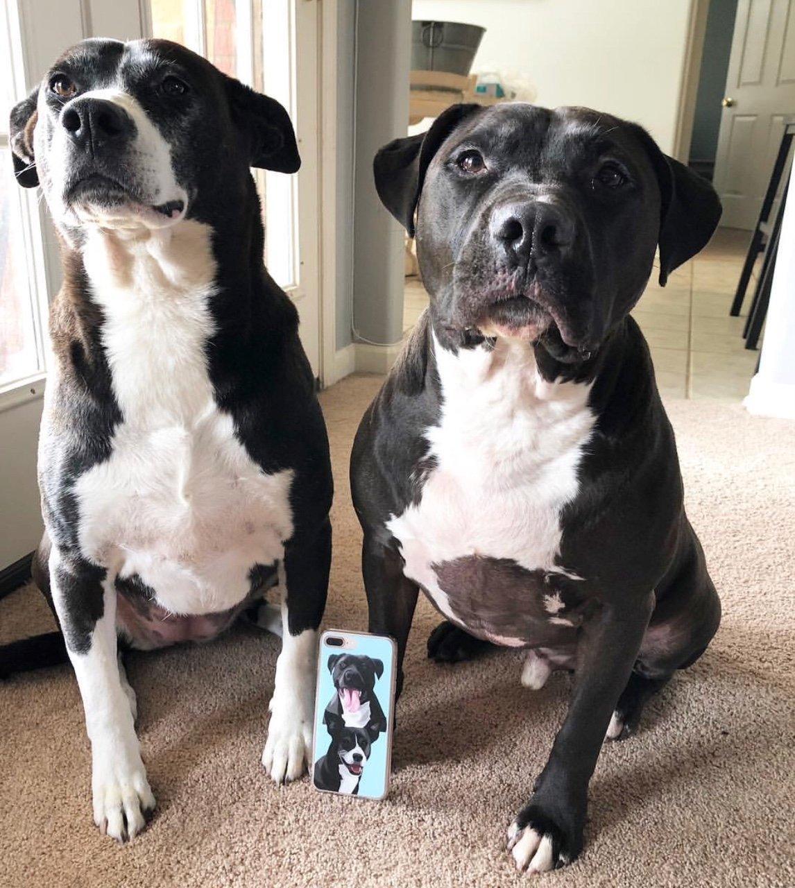 Custom Pet Phone Case (Original)