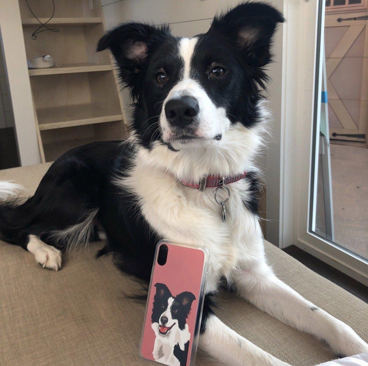 Custom Pet Phone Case (Original)