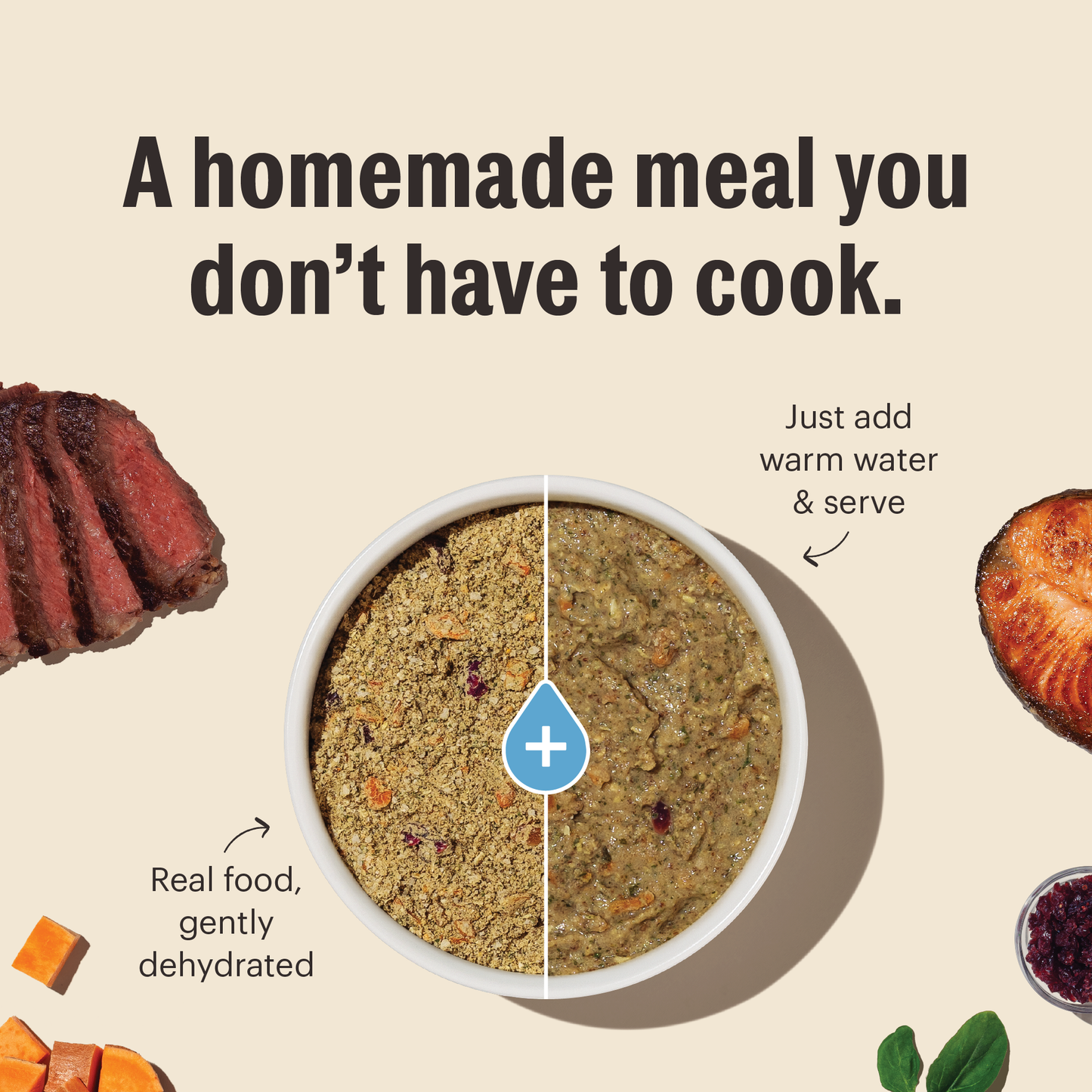 Wholemade Grain Free Turkey